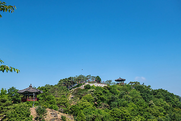 포토 JPG 주간 나무 한국전통 여행 유적지 하늘 풍경 사람없음 야외 여름 관광지 세계문화유산 문화재 역사 한국사 제천 청풍문화재단지 제천10경 청풍망월산성 망월루 관수정 국내포토 자연요소 식물 전통 계절 고건축 한국 정자_건축물 충청북도 산성 파일형식