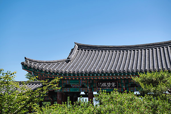 포토 JPG 주간 나무 한국전통 여행 유적지 하늘 풍경 사람없음 야외 여름 관광지 세계문화유산 문화재 역사 한국사 제천 청풍문화재단지 제천10경 맞배지붕 한벽루 국내포토 자연요소 식물 전통 계절 고건축 한국건축 지붕 한국 정자_건축물 충청북도 파일형식