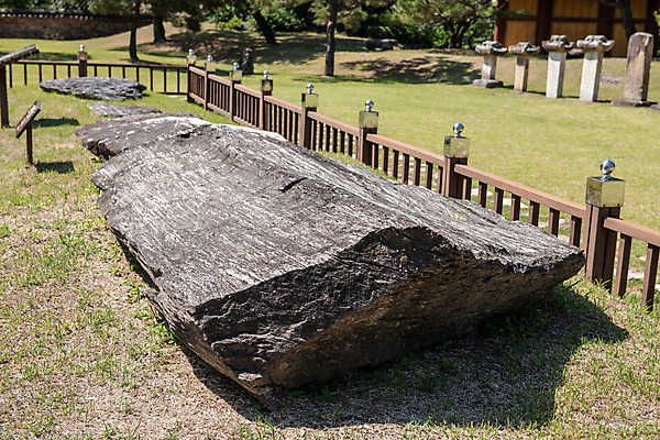 포토 JPG 주간 한국전통 여행 유적지 풍경 사람없음 야외 여름 관광지 세계문화유산 문화재 역사 한국사 비석 고인돌 제천 청풍문화재단지 제천10경 국내포토 자연요소 전통 계절 고건축 한국 무덤 청동기 충청북도 파일형식