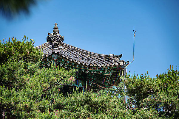 포토 JPG 주간 나무 한국전통 여행 유적지 하늘 풍경 사람없음 야외 여름 관광지 세계문화유산 문화재 역사 한국사 제천 청풍문화재단지 제천10경 청풍망월산성 망월루 관수정 국내포토 자연요소 식물 전통 계절 고건축 한국 정자_건축물 충청북도 산성 파일형식