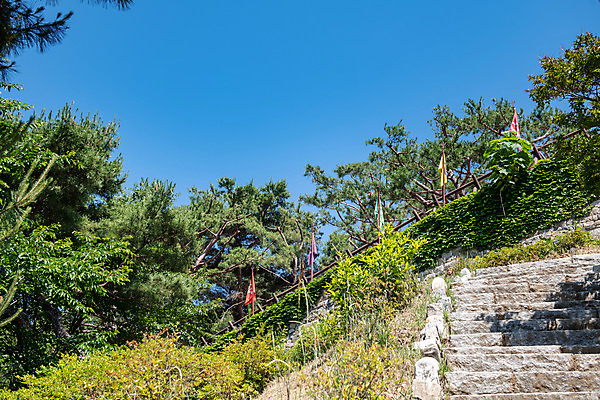 포토 JPG 주간 나무 한국전통 여행 유적지 하늘 풍경 사람없음 야외 여름 관광지 계단 세계문화유산 문화재 역사 한국사 제천 청풍문화재단지 제천10경 청풍망월산성 국내포토 자연요소 식물 전통 계절 고건축 한국 충청북도 산성 파일형식