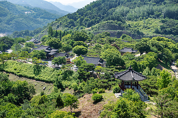 포토 JPG 주간 나무 한국전통 여행 유적지 풍경 사람없음 야외 여름 관광지 세계문화유산 문화재 역사 한국사 제천 청풍문화재단지 제천10경 금남루 금병헌 응청각 한벽루 관수정 국내포토 자연요소 식물 전통 계절 고건축 한국 정자_건축물 충청북도 파일형식