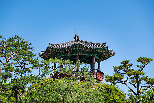 포토 JPG 주간 한국전통 여행 유적지 하늘 풍경 사람없음 야외 여름 관광지 세계문화유산 문화재 역사 한국사 제천 청풍문화재단지 제천10경 청풍망월산성 망월루 국내포토 자연요소 전통 계절 고건축 한국 정자_건축물 충청북도 산성 파일형식