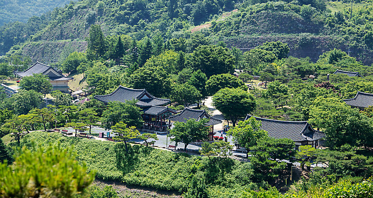 포토 JPG 주간 나무 한국전통 여행 유적지 풍경 사람없음 야외 여름 관광지 세계문화유산 문화재 역사 한국사 제천 청풍문화재단지 제천10경 금남루 금병헌 응청각 청풍망월산성 한벽루 국내포토 자연요소 식물 전통 계절 고건축 한국 정자_건축물 충청북도 산성 파일형식