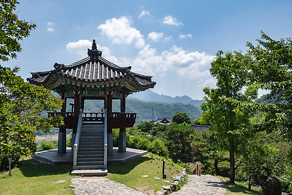 포토 JPG 주간 나무 구름 한국전통 여행 유적지 하늘 풍경 사람없음 야외 여름 관광지 세계문화유산 문화재 역사 한국사 제천 청풍문화재단지 제천10경 관수정 국내포토 자연요소 식물 전통 계절 고건축 한국 정자_건축물 충청북도 파일형식