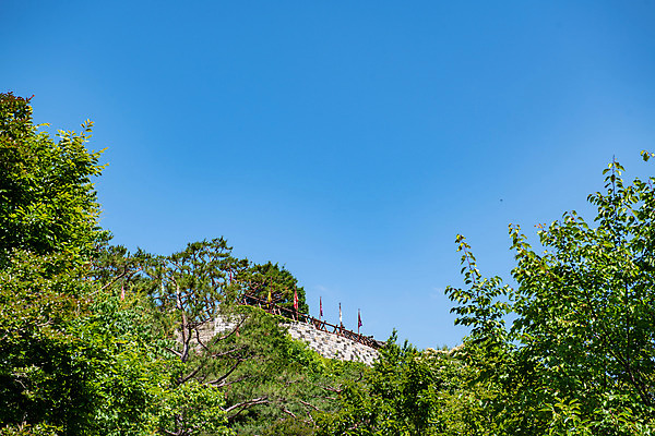 포토 JPG 주간 나무 한국전통 여행 유적지 하늘 풍경 사람없음 야외 여름 관광지 세계문화유산 문화재 깃발 역사 한국사 제천 청풍문화재단지 제천10경 청풍망월산성 망월루 국내포토 자연요소 식물 전통 계절 고건축 한국 정자_건축물 충청북도 산성 파일형식