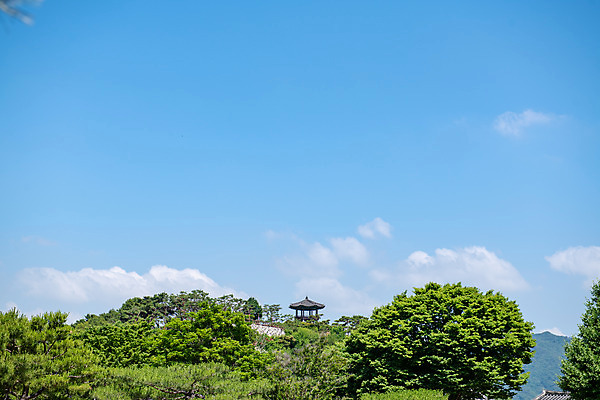 포토 JPG 주간 구름 한국전통 여행 유적지 하늘 풍경 사람없음 야외 여름 관광지 세계문화유산 문화재 역사 한국사 제천 청풍문화재단지 제천10경 청풍망월산성 망월루 국내포토 자연요소 전통 계절 고건축 한국 정자_건축물 충청북도 산성 파일형식