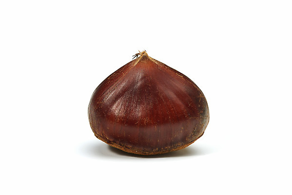 포토 JPG 스튜디오촬영 웰빙 실내 건강 사람없음 한개 견과류 밤 오브젝트 흰배경 정월대보름 부럼 웰빙음식 슈퍼푸드 국내포토 1 명절 백그라운드 내부 흰색 건강식품 건강식 파일형식