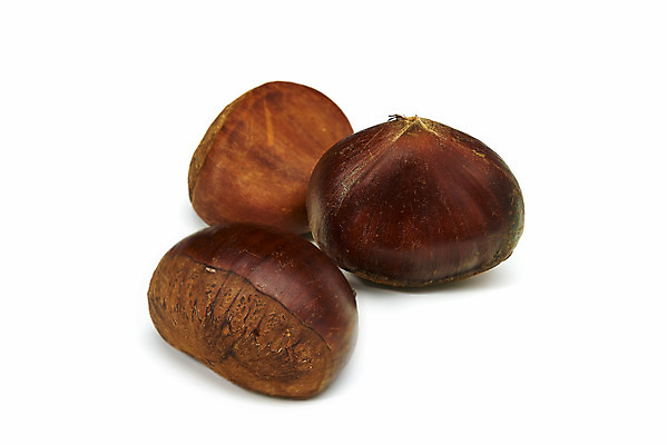 포토 JPG 스튜디오촬영 웰빙 실내 건강 사람없음 견과류 세개 밤 오브젝트 흰배경 정월대보름 부럼 웰빙음식 슈퍼푸드 국내포토 명절 백그라운드 3 내부 흰색 건강식품 건강식 파일형식