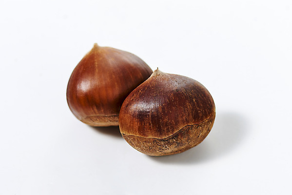 포토 JPG 스튜디오촬영 웰빙 실내 건강 사람없음 견과류 두개 밤 오브젝트 흰배경 정월대보름 부럼 웰빙음식 슈퍼푸드 국내포토 명절 백그라운드 2 내부 흰색 건강식품 건강식 파일형식