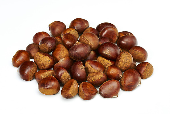 포토 JPG 스튜디오촬영 웰빙 실내 건강 사람없음 여러개 견과류 밤 오브젝트 흰배경 정월대보름 부럼 웰빙음식 슈퍼푸드 국내포토 명절 다수 백그라운드 내부 흰색 건강식품 건강식 파일형식