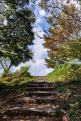 포토 JPG 주간 나무 한국전통 여행 유적지 하늘 풍경 사람없음 야외 관광지 계단 세계문화유산 문화재 가을 역사 한국사 부여 가림산성 성흥산 국내포토 자연요소 식물 전통 계절 고건축 산 한국 충청남도 산성 파일형식
