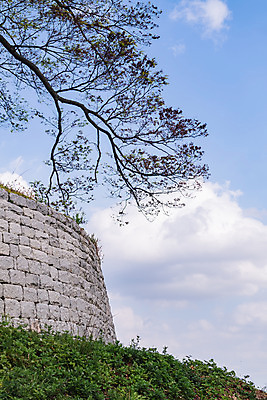 포토 JPG 주간 나무 구름 한국전통 로우앵글 여행 유적지 하늘 풍경 사람없음 야외 관광지 세계문화유산 문화재 가을 역사 한국사 부여 가림산성 성흥산 국내포토 자연요소 식물 전통 계절 뷰포인트 고건축 산 한국 충청남도 산성 파일형식