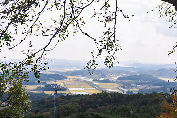 포토 JPG 주간 나무 구름 한국전통 여행 유적지 하늘 풍경 사람없음 야외 관광지 세계문화유산 문화재 가을 나뭇가지 역사 한국사 부여 가림산성 성흥산 국내포토 자연요소 식물 전통 계절 고건축 산 한국 충청남도 산성 파일형식