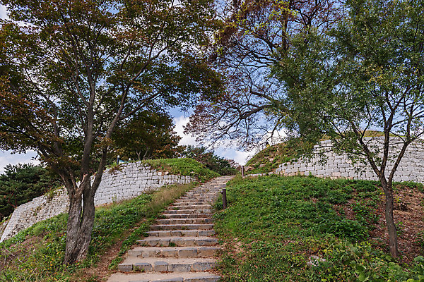 포토 JPG 주간 나무 한국전통 여행 유적지 풍경 사람없음 야외 관광지 계단 세계문화유산 문화재 가을 역사 한국사 부여 가림산성 성흥산 국내포토 자연요소 식물 전통 계절 고건축 산 한국 충청남도 산성 파일형식