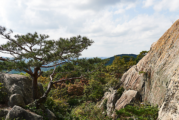 포토 JPG 주간 나무 구름 한국전통 여행 유적지 하늘 풍경 사람없음 야외 관광지 세계문화유산 문화재 가을 소나무 역사 한국사 부여 가림산성 성흥산 국내포토 자연요소 식물 전통 계절 고건축 산 한국 충청남도 산성 파일형식