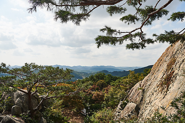 포토 JPG 주간 나무 구름 한국전통 여행 유적지 하늘 풍경 사람없음 야외 관광지 세계문화유산 문화재 가을 소나무 역사 한국사 부여 가림산성 성흥산 국내포토 자연요소 식물 전통 계절 고건축 산 한국 충청남도 산성 파일형식