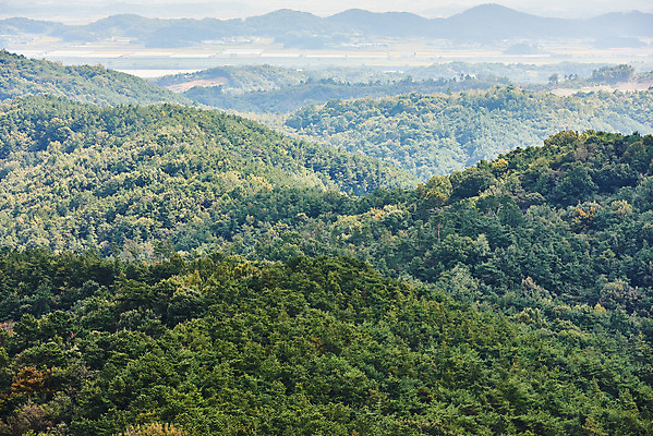 포토 JPG 주간 한국전통 여행 유적지 풍경 사람없음 야외 관광지 세계문화유산 문화재 가을 역사 한국사 부여 가림산성 성흥산 국내포토 자연요소 전통 계절 고건축 산 한국 충청남도 산성 파일형식
