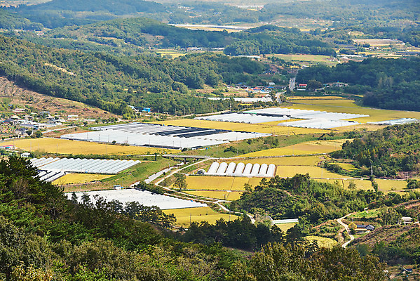포토 JPG 주간 한국전통 여행 유적지 풍경 사람없음 야외 관광지 세계문화유산 문화재 가을 역사 한국사 부여 가림산성 성흥산 국내포토 자연요소 전통 계절 고건축 산 한국 충청남도 산성 파일형식