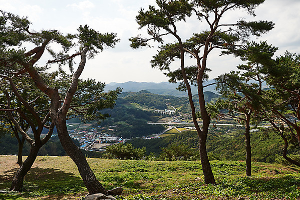 포토 JPG 주간 나무 한국전통 여행 유적지 풍경 사람없음 야외 관광지 세계문화유산 문화재 가을 소나무 역사 한국사 부여 가림산성 성흥산 국내포토 자연요소 식물 전통 계절 고건축 산 한국 충청남도 산성 파일형식