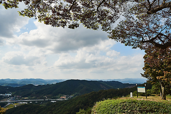 포토 JPG 주간 나무 구름 한국전통 여행 유적지 하늘 풍경 사람없음 야외 관광지 세계문화유산 문화재 가을 역사 한국사 느티나무 부여 가림산성 성흥산 국내포토 자연요소 식물 전통 계절 고건축 산 한국 충청남도 산성 파일형식