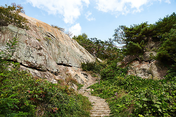 포토 JPG 주간 나무 구름 한국전통 여행 유적지 하늘 풍경 사람없음 야외 관광지 세계문화유산 문화재 가을 역사 한국사 부여 가림산성 성흥산 국내포토 자연요소 식물 전통 계절 고건축 산 한국 충청남도 산성 파일형식