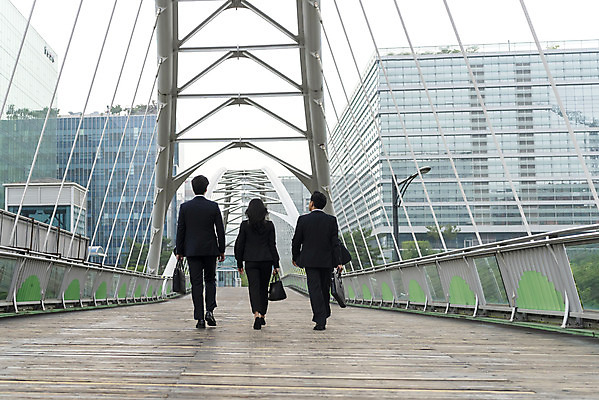 포토 JPG 주간 전신 여자 남자 40대 중년 협력 20대 성인 야외 뒷모습 세명 30대 비즈니스라이프 걷기 한국인 비즈니스맨 비즈니스우먼 동료 출근 퇴근 육교 판교 국내포토 자연요소 라이프스타일 뷰포인트 비즈니스 관계 모션 사람 동양인 청년 장년 다리_건축물 직장인 출퇴근 분당 파일형식