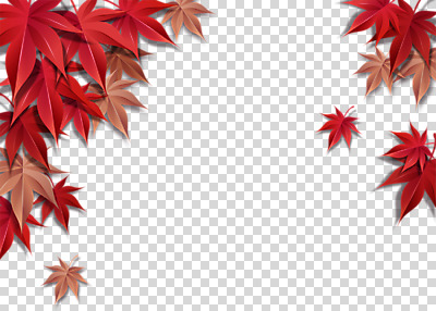 편집 편집이미지 종이 단풍 낙엽 프레임 누끼 사람없음 빨간색 가을 페이퍼아트 PNG 편집소스 계절 컬러 잎 파일형식
