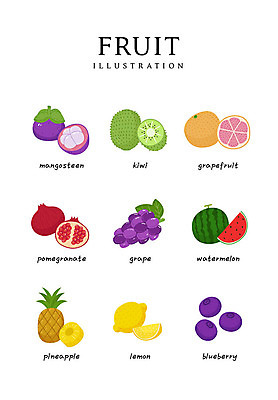 음식 일러스트 식재료 포도 수박 키위 사람없음 레몬 자몽 파인애플 블루베리 석류 망고스틴 국내일러스트 AI파일 과일 열대과일 파일형식 벡터