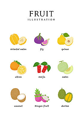 음식 일러스트 식재료 사람없음 멜론 참외 코코넛 모과 무화과 용과 두리안 오미자 유자 국내일러스트 AI파일 과일 파일형식 벡터