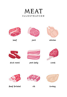 음식 일러스트 식재료 생고기 돼지고기 사람없음 닭고기 소고기 삼겹살 갈비 오리고기 램 차돌박이 칠면조고기 국내일러스트 AI파일 오리 육류 파일형식 벡터