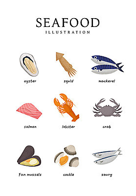 음식 일러스트 식재료 사람없음 게 굴 바닷가재 해산물 오징어 연어 고등어 꼬막 꽁치 피조개 국내일러스트 AI파일 조개 어패류 연체동물 갑각류 어류 수중동물 가재 파일형식 벡터