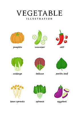음식 일러스트 식재료 고추 호박 가지 오이 사람없음 상추 배추 깻잎 콩나물 시금치 국내일러스트 AI파일 채소 나물 파일형식 벡터