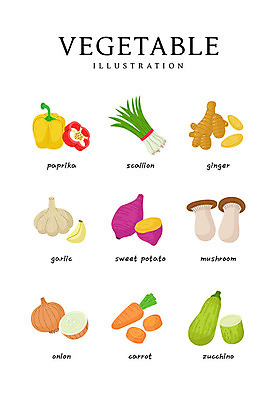 음식 일러스트 식재료 양파 파프리카 마늘 사람없음 버섯 당근 고구마 파 생강 애호박 국내일러스트 AI파일 채소 호박 뿌리채소 파일형식 벡터
