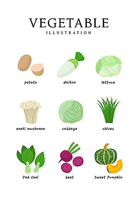 음식 일러스트 식재료 감자 사람없음 양상추 무 양배추 청경채 팽이버섯 부추 단호박 비트 국내일러스트 AI파일 채소 호박 뿌리채소 버섯 파일형식 벡터