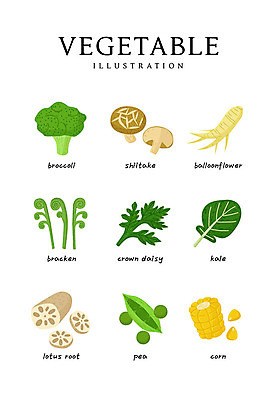 음식 일러스트 식재료 콩 옥수수 사람없음 브로콜리 표고버섯 연근 미나리 고사리 도라지 케일 국내일러스트 AI파일 채소 곡류 버섯 파일형식 벡터
