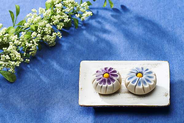 포토 JPG 스튜디오촬영 접시 꽃 꽃무늬 실내 누끼 사람없음 두개 오브젝트 파란배경 일본전통 동양음식 화과자 국내포토 식물 전통 식기 음식 백그라운드 2 무늬 내부 파란색 과자 일본 파일형식