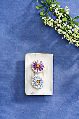 포토 JPG 스튜디오촬영 접시 꽃 꽃무늬 실내 누끼 사람없음 하이앵글 두개 오브젝트 파란배경 일본전통 동양음식 화과자 플랫레이 국내포토 식물 전통 식기 음식 뷰포인트 백그라운드 2 무늬 내부 파란색 과자 일본 플랫 파일형식