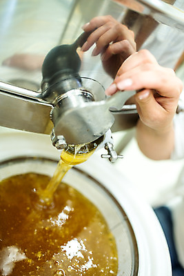 포토 JPG 서양인 외국인 손 여자 농업 실내 한명 사람 앉기 20대 성인 신체부위 꿀벌 체코 꿀 벌꿀 양봉 양봉업 성인여자한명만 국내포토 1 유럽 산업 모션 인종 청년 내부 벌_곤충 여자한명만 성인여자만 파일형식