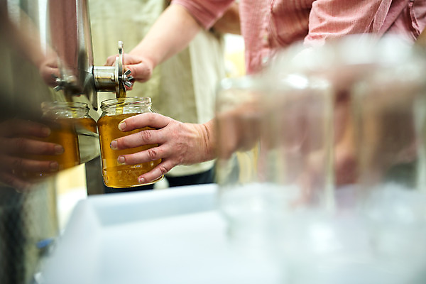 포토 JPG 서양인 외국인 손 여자 중년 농업 유리병 실내 한명 서기 사람 상반신 옆모습 꿀벌 담기 체코 꿀 벌꿀 양봉 양봉업 중년여자한명만 국내포토 1 유럽 산업 뷰포인트 모션 병_용기 인종 성인 내부 신체부위 벌_곤충 여자한명만 중년여자만 파일형식