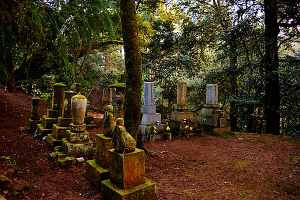 포토 JPG 해외이미지 동물 아시아 종교 문화 잎 불교 건축양식 동양인 사람없음 조각상 갈색 일본 사찰 역사 재산 건축가 크루즈 동쪽 할리우드 교토 사당 해외포토 식물 직업 건축 나라 컬러 배_교통 종교건축 인종 금융 조형물 방향 로스앤젤레스 파일형식 이미지허브