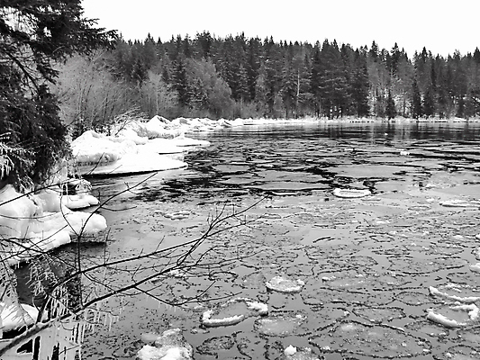 포토 JPG 해외이미지 나무 계절 공원 호수 백그라운드 낙엽 겨울 자연 날씨 산 건조 풍경 사람없음 야외 물 강 눕기 반사 평화 환경 정원 냉동 얼음 추위 덮개 가을 흰색 나뭇가지 시골 연못 붓 가장자리 숲 암초 삼림지대 눈내림 겨울풍경 해외포토 자연요소 식물 공공시설 컬러 컨셉 잎 모션 눈_날씨 뚜껑 둘레 생태계 파일형식 이미지허브