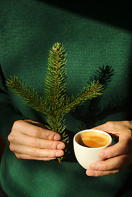 포토 JPG 해외이미지 식물 손 여자 커피 크리스마스 손가락 휴가 사람없음 컵 초록색 여름 크리스마스트리 정원 축제 봄 성장 나뭇가지 신선 잡기 소나무 바늘 소프트포커스 손톱 싱글 팔 에스프레소 전나무 내추럴 삼림지대 혼자 해외포토 나무 식기 계절 기념일 음료 컬러 모션 촬영기법 사람 신체부위 도구 숲 파일형식 이미지허브
