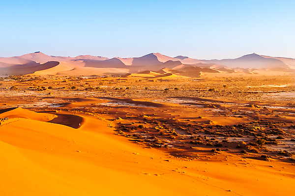 포토 JPG 해외이미지 나무 공원 모래 여행 백그라운드 오렌지 아프리카 자연 하늘 건조 파노라마 그림자 풍경 사람없음 야외 빨간색 모래사장 노란색 일출 환경 맑음 침묵 사막 죽음 뜨거움 황무지 모래언덕 소금 가뭄 내추럴 아카시아 나미비아 전국 해외포토 식물 공공시설 나라 바다 컬러 과일 날씨 촬영기법 노을 소리 언덕 생태계 남아프리카 파일형식 이미지허브