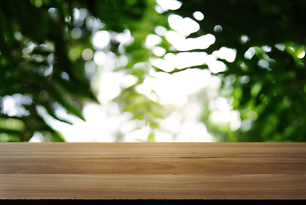 포토 JPG 해외이미지 나무 템플릿 디자인 공원 백그라운드 잎 자연 벽지 탁자 추상 사람없음 야외 목재 장식 초록색 빛 태양 우주 정원 맑음 봄 수확 덮개 시골 널 상품 정상 소프트포커스 숲 갑판 계산대 책상 질감 복고 보케 내추럴 거짓 블러 해외포토 자연요소 식물 계절 공공시설 컬러 가구 무늬 농업 배_교통 재료 날씨 촬영기법 뚜껑 생태계 파일형식 이미지허브