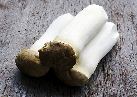 포토 JPG 해외이미지 식물 음식 백그라운드 다이어트 채소 재료 자연 뿔 건강 사람없음 목재 여름 약 갈색 주방 버섯 침묵 굴 흰색 신선 그룹 맛 왕 싱글 유기농 날것 내추럴 프랑스어 곰팡이 채식주의자 맛있는 해외포토 나무 문자 웰빙 계절 컬러 컨셉 의학 어패류 소리 생태계 채식 파일형식 이미지허브