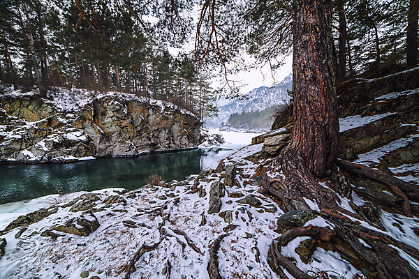 포토 JPG 해외이미지 나무 계절 공원 겨울 자연 하늘 산 풍경 사람없음 야외 목재 초록색 물 강 환경 흐름 추위 바위 개울 숲 서리 내추럴 눈내림 해외포토 자연요소 식물 공공시설 컬러 컨셉 재료 눈_날씨 돌_바위 생태계 파일형식 이미지허브