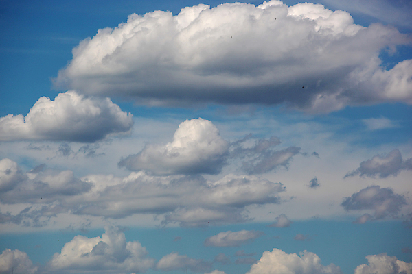 포토 JPG 해외이미지 백그라운드 자연 하늘 바람 날씨 추상 휴식 사람없음 야외 가로 파란색 빛 컬러풀 햇빛 뷰티 환경 맑음 침묵 자유 흰색 장면 천국 솜털 흐림 해외포토 자연요소 컬러 컨셉 무늬 태양 소리 생태계 파일형식 이미지허브