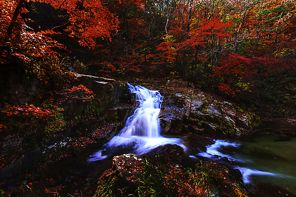 포토 JPG 해외이미지 나무 식물 계절 공원 백그라운드 잎 오렌지 자연 휴식 한국 사람없음 야외 빨간색 초록색 물 강 컬러풀 노란색 봄 폭포 흐름 신선 개울 숲 시원함 즐거움 암초 내추럴 파라다이스 해외포토 자연요소 공공시설 감정 아시아 컬러 컨셉 과일 생태계 파일형식 이미지허브