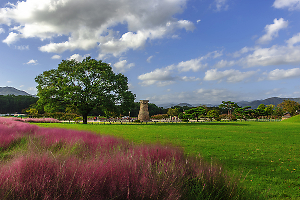 포토 JPG 해외이미지 나무 식물 계절 공원 여행 백그라운드 밭 건축양식 자연 하늘 아침 휴가 사람없음 야외 초록색 파란색 컬러풀 뷰티 마을 정원 보라색 안개 벚꽃 시골 도시 내추럴 뿌연 옛날 해외포토 주간 공공시설 건축 꽃 컬러 농업 날씨 생태계 파일형식 이미지허브